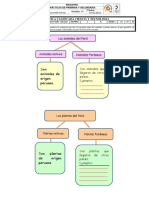 Animales y Plantas Del Peru