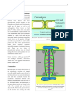 Plasmodesmata