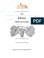 Tipos de Cepas