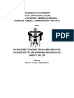 Las Acciones Esenciales para La Seguridad Del Paciente Dentro Del Modelo de Seguridad Del Paciente Del CSG