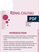 Renalcalculi 190912083750