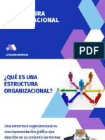 Estructura Organizacional