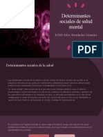 Determinantes Sociales de Salud Mental