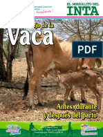 Manejo de La Vaca