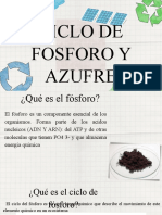 Ciclo de Fósforo y Azufre