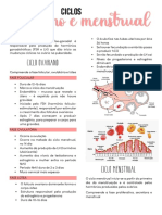 Ciclo Ovariano e Menstrual