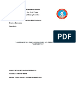 Filosofia Del Derecho (Principios, Fines y Funciones Del Derecho)