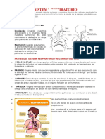 Ciencia 9 Sistema Respiratorio