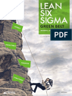 Lean Six Sigma Green Belt H.C. Theisens