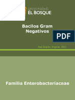 Bacilos Gram Negativos