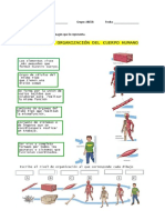 Tarea 2 Sistemas Biologigos 10