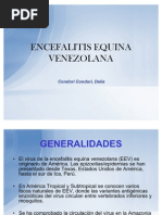 Encefalitis Equina Venezolana 1