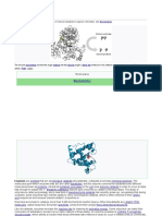 Enzyme Cofactorco Enzyme