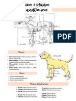 Aula 1 Anatomia - Sistema Respiratório