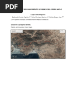 Informe de Reconocimiento de Campo-Pucusana