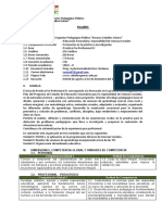 Practica Pre Profesional IV - Viii Ciclo 2022