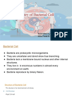 Biochemistry of Bacterial Cell