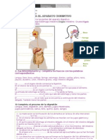 Ficha Aplicacion Aparato Digestivo