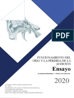 Ensayo: Funcionamiento Del Oido y Perdida de La Audición