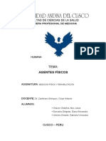 Agentes Fisicos Monografia