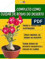 Manual Completo Rosa Do Deserto