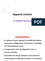 Histologie Du Système Urinaire