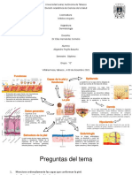Generalidades de La Piel. Alejandro Trujillo Basurto 7GMC