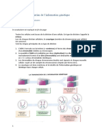 Cours Mitose Et Méiose