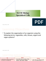 Specialised Cells-& Levels of Organisations