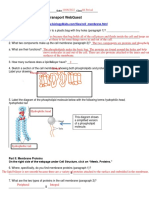 Cell Membrane and Transport Aca Webquest