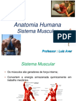 A5 Sistema Muscular Introdução e Membro Superior em PDF