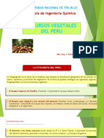 Sem 07 - Recursos Vegetales Del Peru