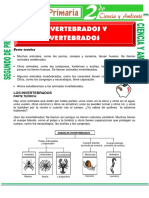 Invertebrados y Vertebrados para Segundo de Primaria