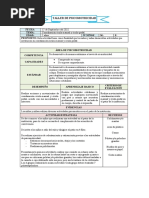 Taller de Psicomotricidad