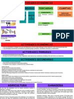 Actividades Económicas