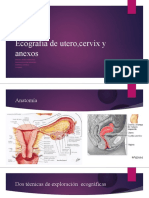 Ecografia Ginecologica