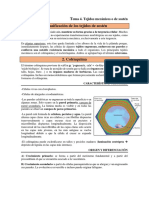 Tema 04. Tejidos de Sostén