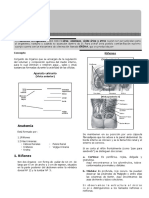 III Bimestre y IV Bimestre Biologia