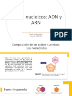 2 - Estructura Adn y Arn