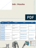 Upper Limb Muscles
