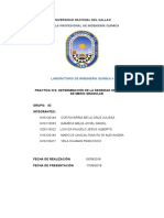 Practica 4 - Determinación de La Densidad