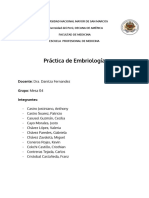 Práctica N°5