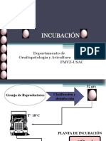 INCUBACION