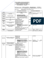 Plan de Trabajo Claudia Madrigal Gómez