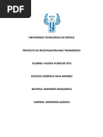 Proyecto de Investigación Maíz BT