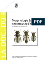 Morphologie Et Anatomie De-L Abeille