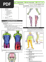 1.5 Dermatomes