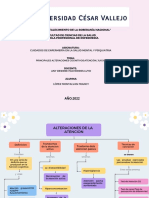 Alteraciones Cognitivos (Atencion, Juicio)