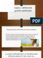 Principio y Definición de Gestión Ambiental