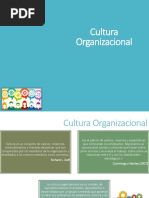 Cultura Organizacional